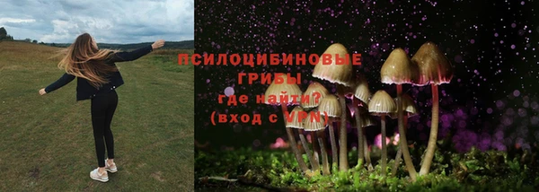 альфа пвп Дмитров